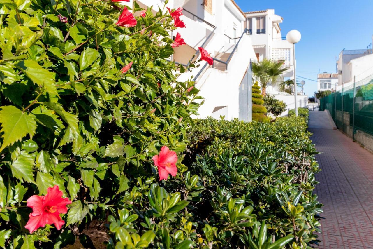 Mi Perla Apartment Torrevieja Exterior photo